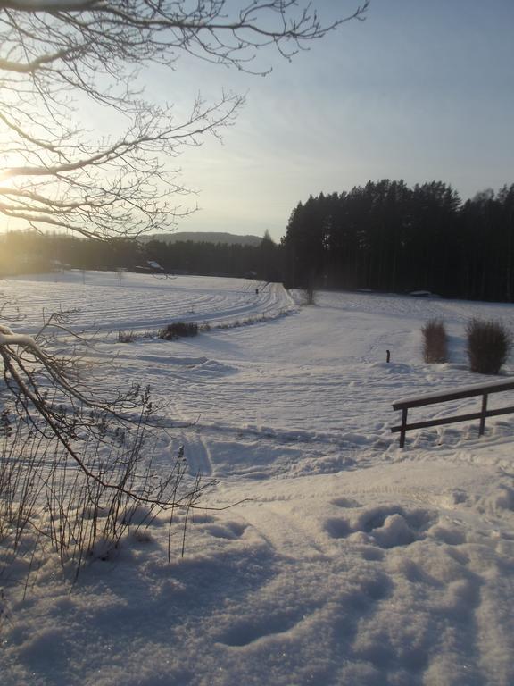 Stuga Hult Villa Hagfors Cameră foto